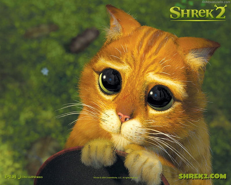 From Shrek, shrek, character, cartoon, cat, HD wallpaper