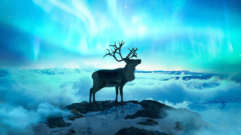 Reindeer Fantasy Art, reindeer, artist, artwork, digital-art, fantasy, HD wallpaper