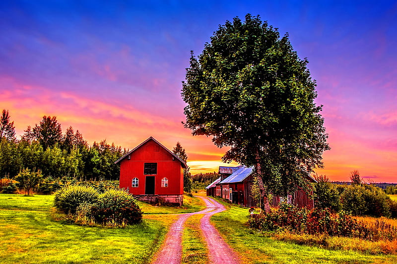 RUSTIC FARM HOUSE, home, sunset, trees, sky, clouds, splendor, farm house, mountians, path, nature, road, landscape, HD wallpaper