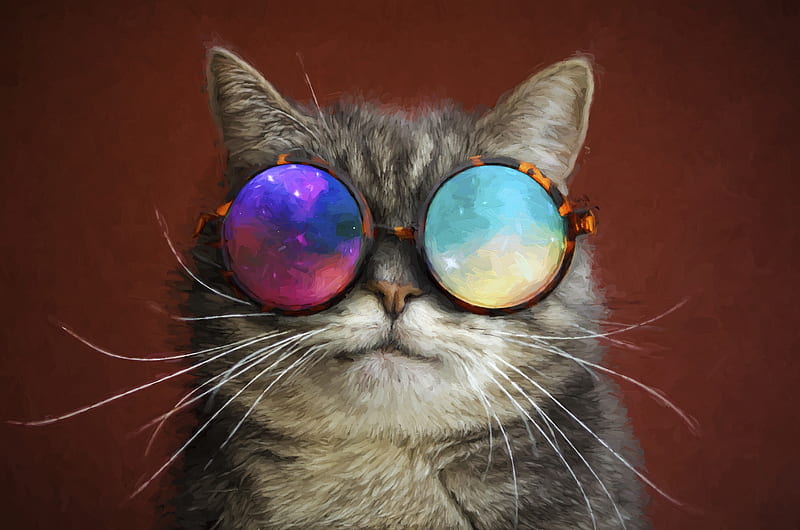 Cat Glasses Party Cool Painting, cat, animals, painting, artist, artwork, digital-art, HD wallpaper