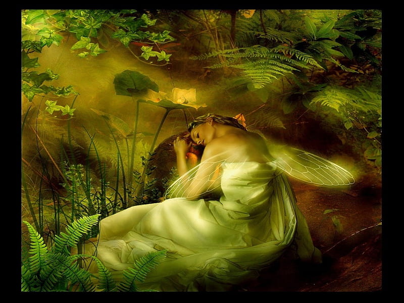 SLEEPING FAIRY, forest, fantasy, female, sleeping, fairy, HD wallpaper