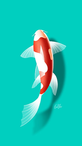 koi fish drawing wallpaper