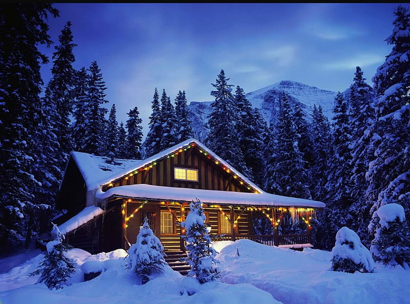 Winter cottage, pretty, house, cottage, dusk, cabin, bonito, twilight, clouds, eve, lights, cold, mountain, nice, darkness, village, peaks, evening, frost, blue, forest, lovely, holiday, christmas, sky, trees, winter, noel, snow, slope, ice, nature, frozen, HD wallpaper