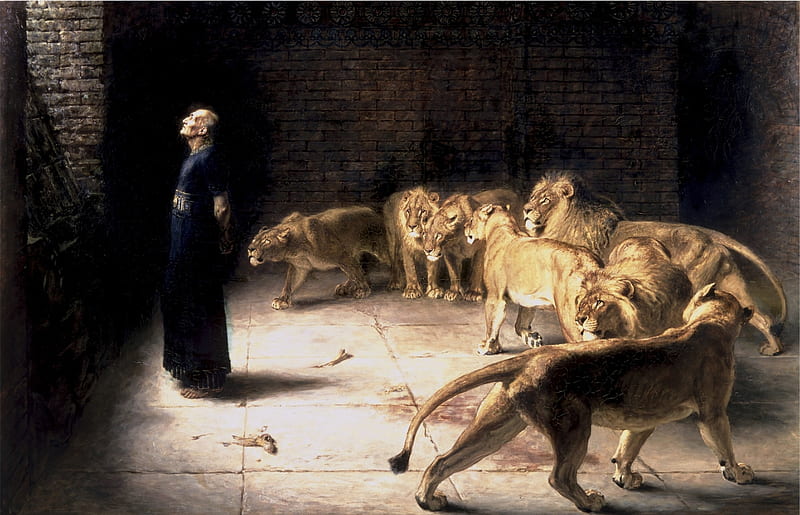 Daniel's Answer to the King, art, den, daniel, leu, painting, briton riviere, man, lion, pictura, HD wallpaper