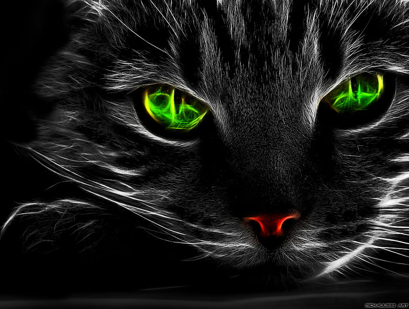 Fractal Eye Ca, animals, cat, cats, colors, cool, cute, neon, HD wallpaper