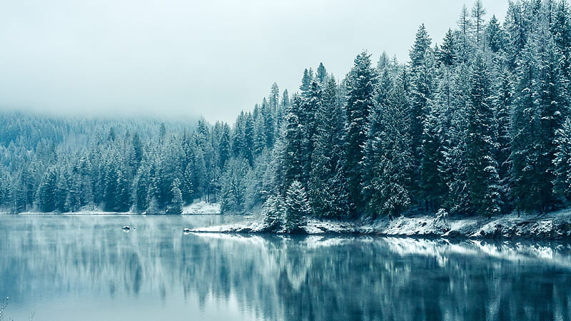 Frozen Landscape, shore, evergreen, covered, lake, fog, winter, cold, snow, ice, river, frozen, landscape, HD wallpaper
