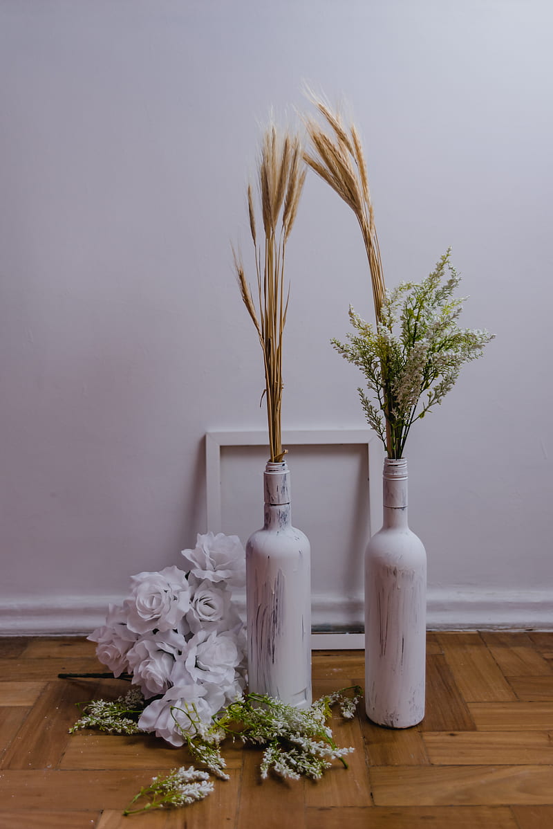 Green Plant in White Ceramic Vase, HD phone wallpaper