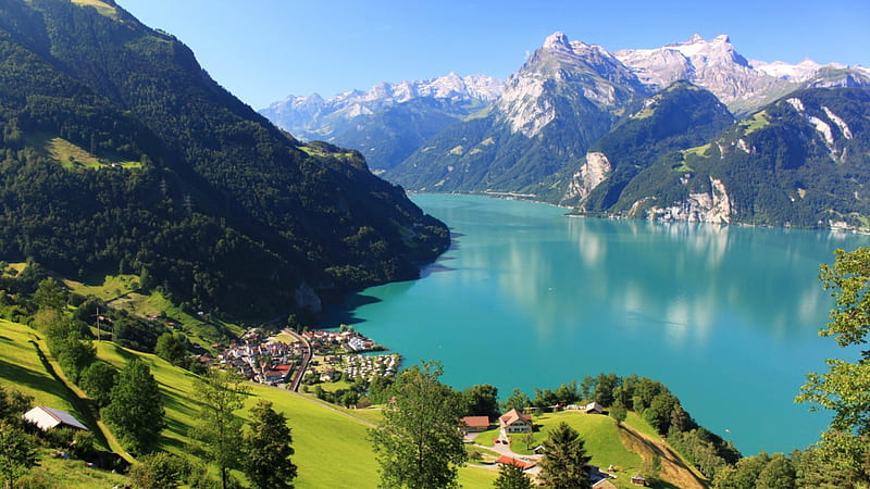 gorgeous town of morschach on lake lucerne, grass, lake, mountains, town, HD wallpaper