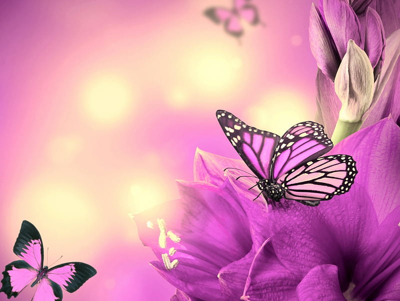 Flores moradas, abstractas, mariposas, flores, moradas, Fondo de pantalla  HD | Peakpx