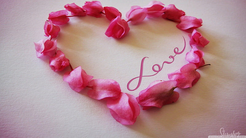 Rose Love Heart, romantic heart, pink rose love, rose, valentine heart, love heart, christmas heart, beautiful heart, pink rose, cute heart, love, beautiful rose, nature, pink love heart, HD wallpaper
