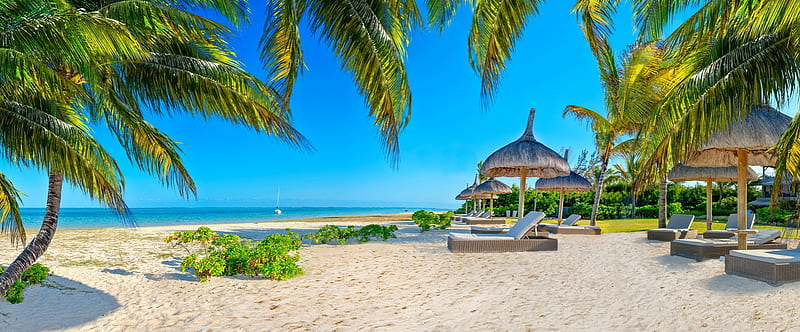 Tropical beach panorama, tropics, palms, sea, rest, exotic, vacation, ocean, bonito, beach, paradise, summer, island, sands, HD wallpaper