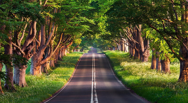 Road Ultra, Nature, Landscape, HD wallpaper