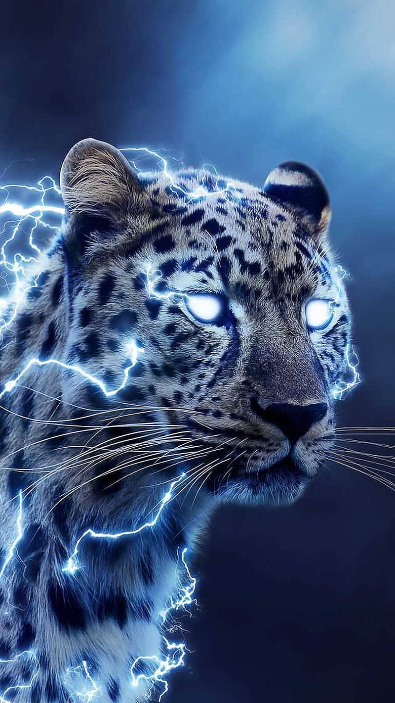 Wild Animal Lightning Leopard, Lightning Lion, HD phone wallpaper
