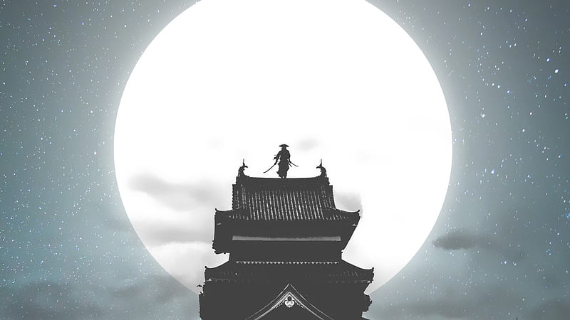 Moon Night Samurai Warrior Samurai, HD wallpaper