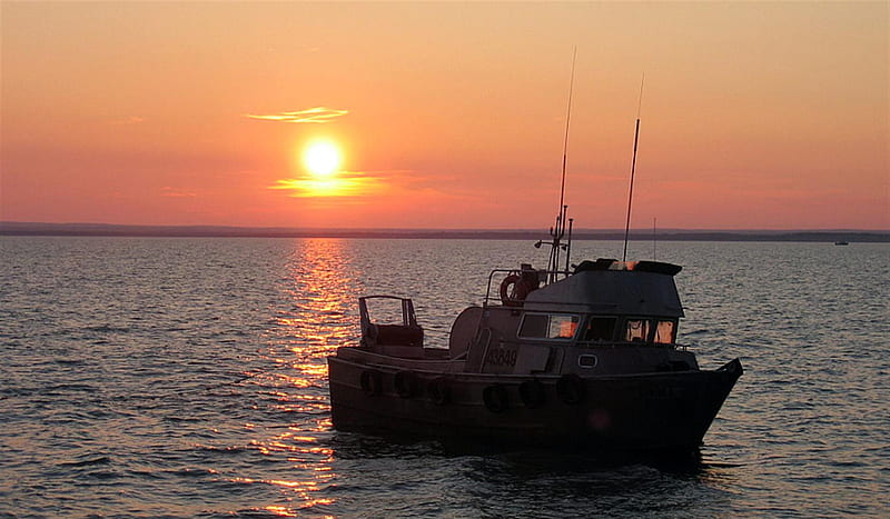 Puget Sound Fishing Boat, sound, ocean, washington, firefox persona, sunset, sky, fisherman, boat, water, bay, HD wallpaper