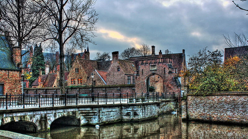 wonderful river scene in the city of brugge belgium r, tree, city, bridge, river, r, swan, HD wallpaper