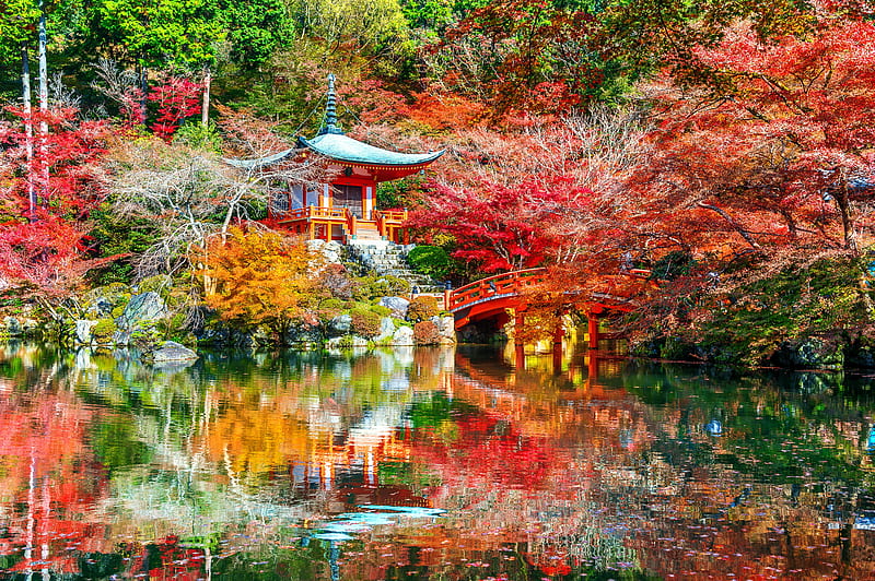 Daigoji temple in autumn, Park, Trees, Leaves, Autumn, japan, HD ...