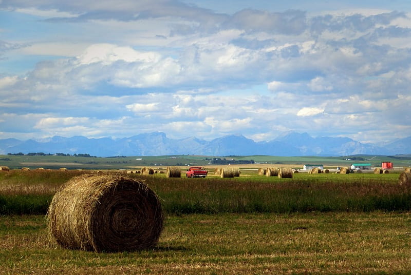 Hay rolls and Rocky Mountains on the back, Hay rolls, Clouds, Calaway park, Canada, Alberta, Springbank, Rockies, HD wallpaper