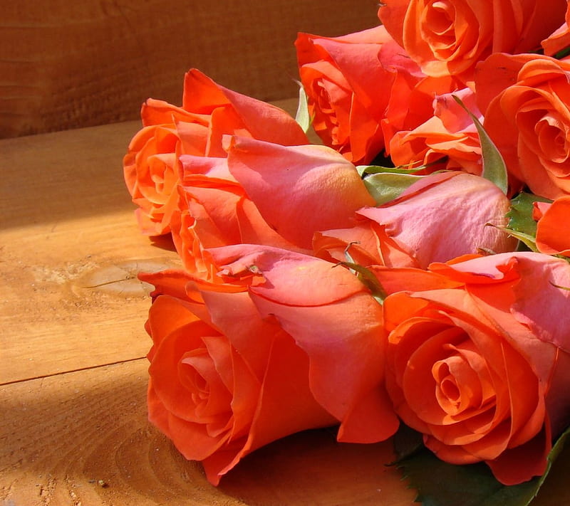 Orange Rose Bouquet, devotion, emotion, floral, flowers, love, meaning, roses, scent, sweet, symbol, thought, HD wallpaper