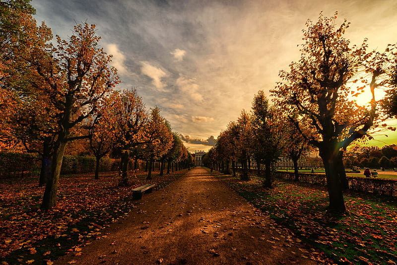Autumn Trees Path, autumn, trees, path, nature, HD wallpaper