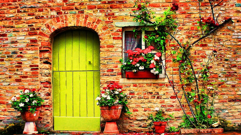 *, Flowers, Door, Window, Pots, HD wallpaper