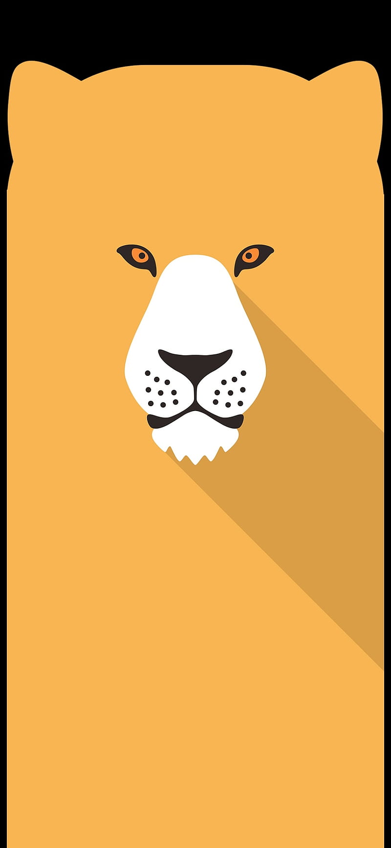 Lion, yellow, HD phone wallpaper | Peakpx