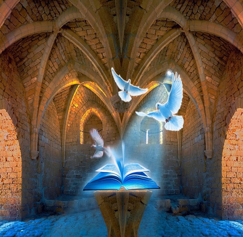 Awe.., doves, books, book, church, blue, light, HD wallpaper