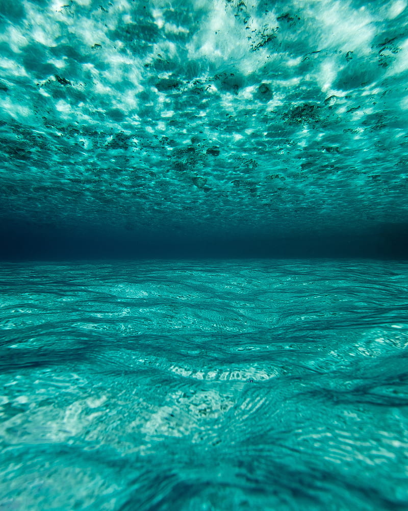 maldives, ocean, underwater, blue, Nature, HD phone wallpaper