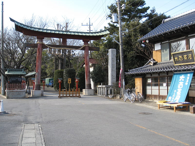 Lucky Star Washinomiya Shrine, hiiragi, miko, tsukasa, shrine, kagami, lucky star, washinomiya shrine, shrine madien, HD wallpaper
