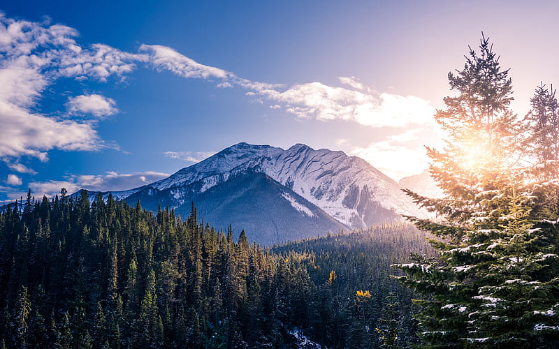 Banff, winter, mountains, forest, Banff National Park, Canada, Alberta, HD wallpaper