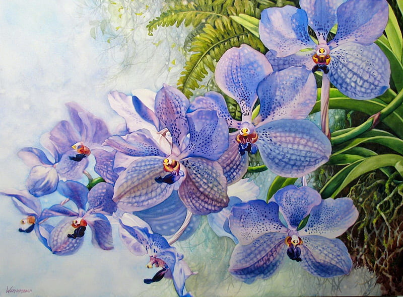 Blue Vanda, pretty, art, lovely, bonito, orchids, leaves, nice, flowers, beauty, garden, petals, blue, HD wallpaper