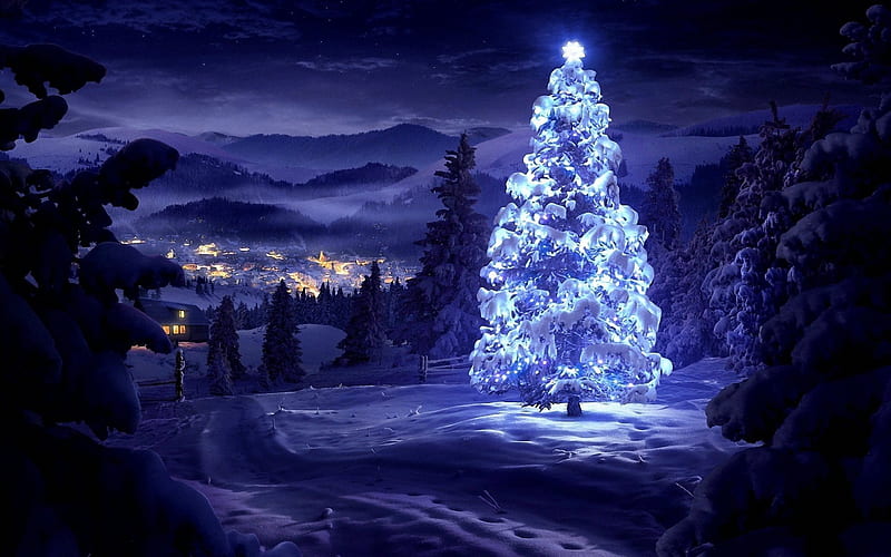 New Year Eve, winter, night, Forest, Christmas Tree, Christmas, HD wallpaper