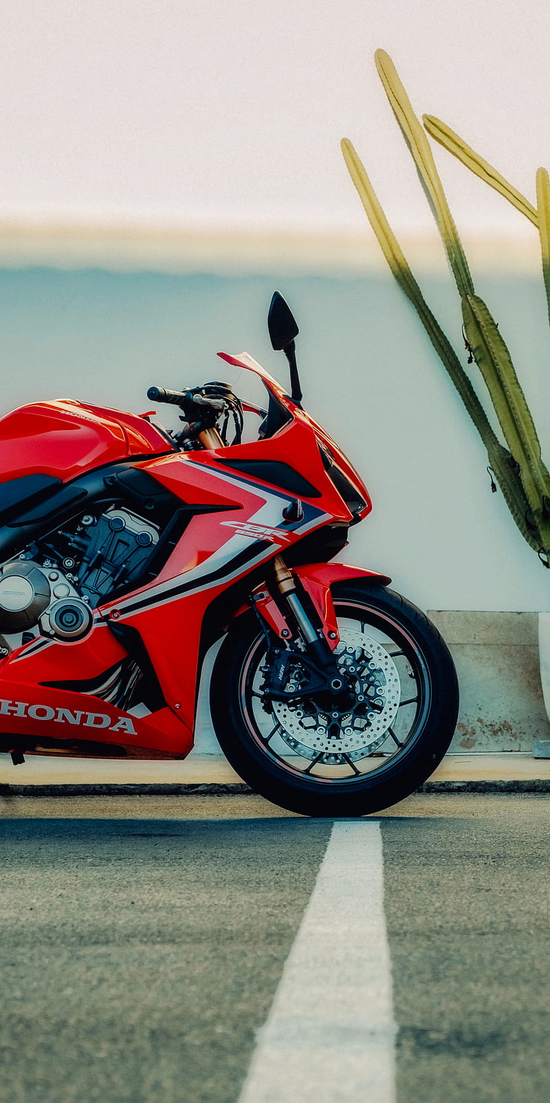 Download wallpapers Honda CBR650R, 2019, front view, race bike, race track,  new red CBR650R, japanese sport bikes, Honda for desktop free. Pictures for  desktop free