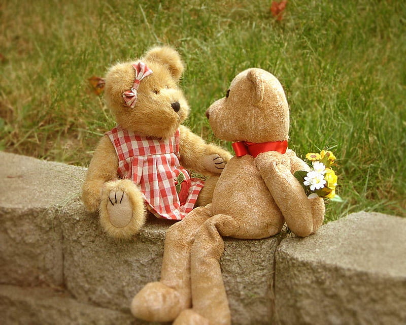 Teddy Proposal, cute, teddys, HD wallpaper