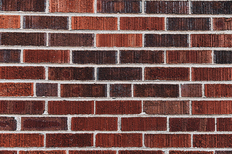 bricks, wall, brick wall, surface, HD wallpaper