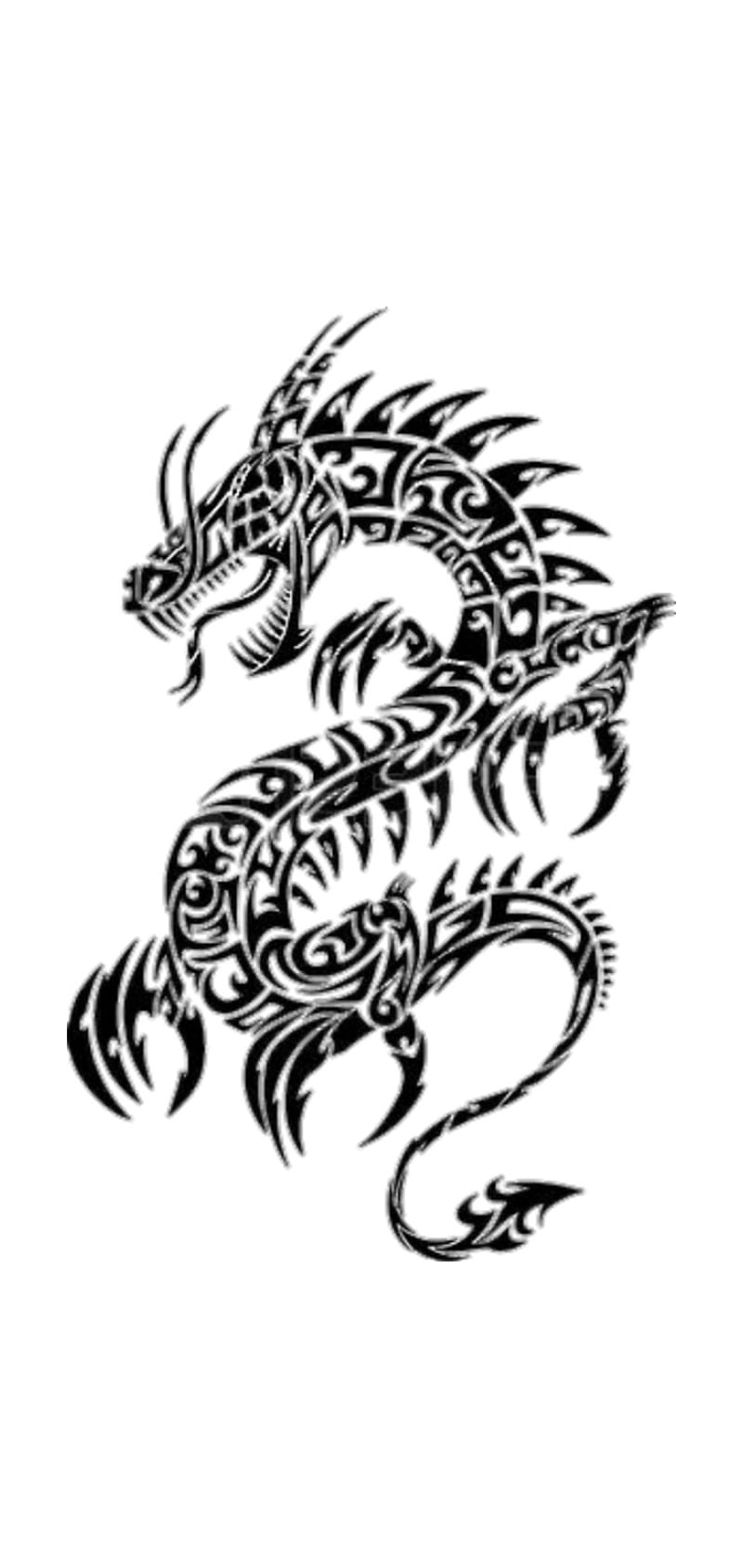Dragon tattoo, dragons, ideas, one, panther, piece, skull, thanksgiving,  tribal, HD phone wallpaper | Peakpx