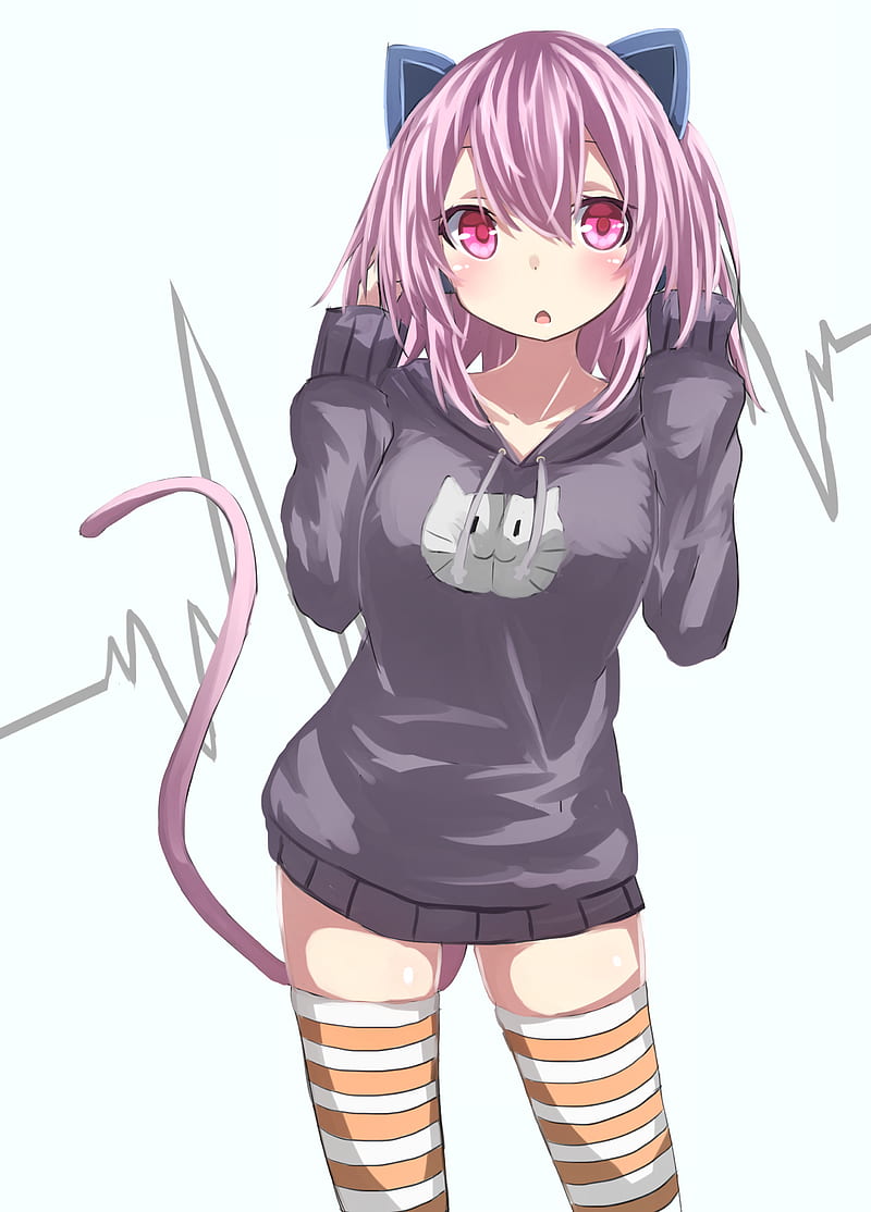 neko, ears, sweatshirt, anime, cute, HD phone wallpaper