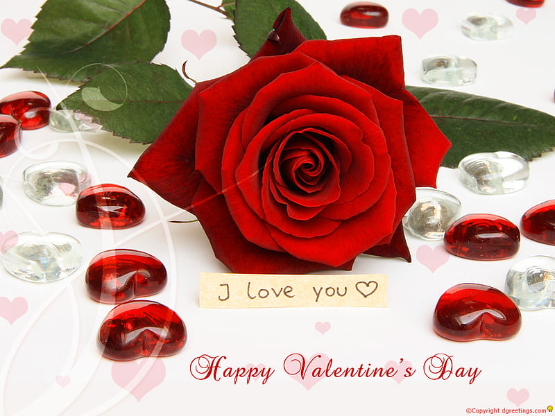 Red rose love, valentines, ose, february 14, love, heart, flower, HD  wallpaper | Peakpx