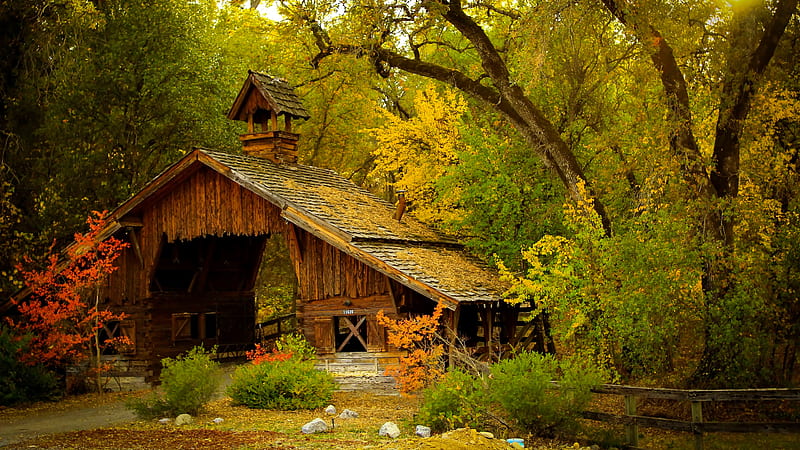 Old abandoned house in autumn forest, wooden, house, fall, trees, autumn, beautiful, cottage, forest, HD wallpaper