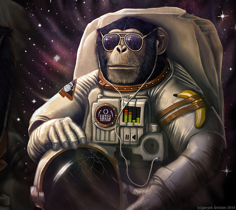 monkey, banana, astronaut, HD wallpaper