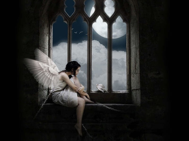 Angel in Prison, caught, dark art, angel, angels, iron shackle, shackle, captured, dark, dove, prison, HD wallpaper