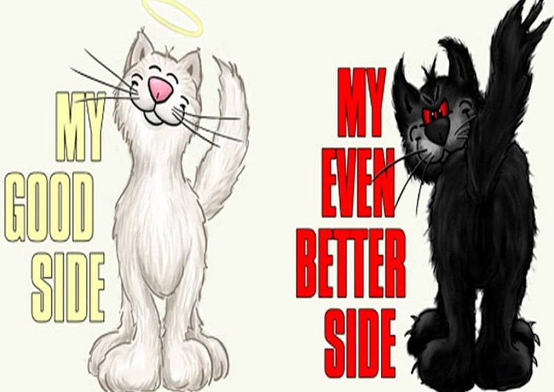 Angel and Devil Cats, naughty, cats, abstract, good, HD wallpaper