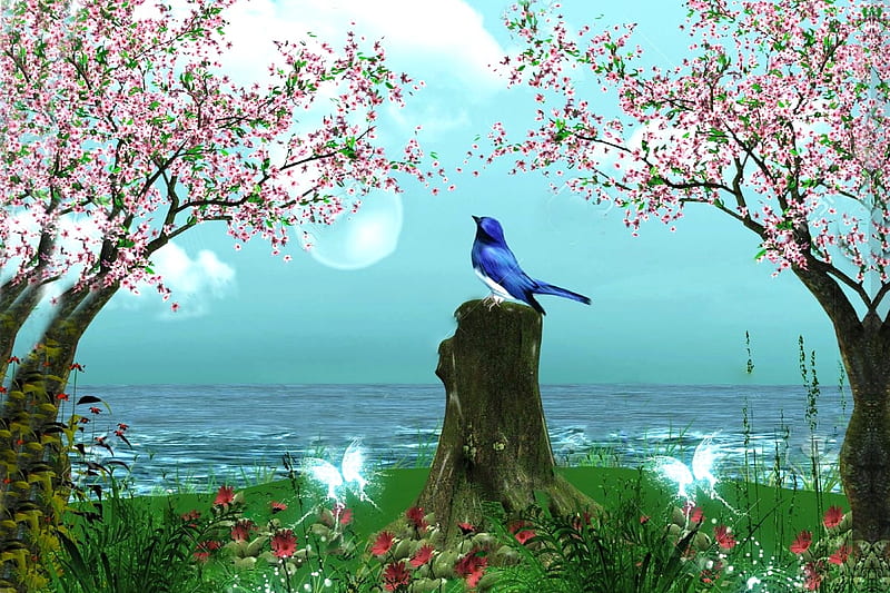 Bluebird by The Ocean, pretty, grass, ocean, colors, butterflies, trees, abstract, softness, moon, Bird, HD wallpaper