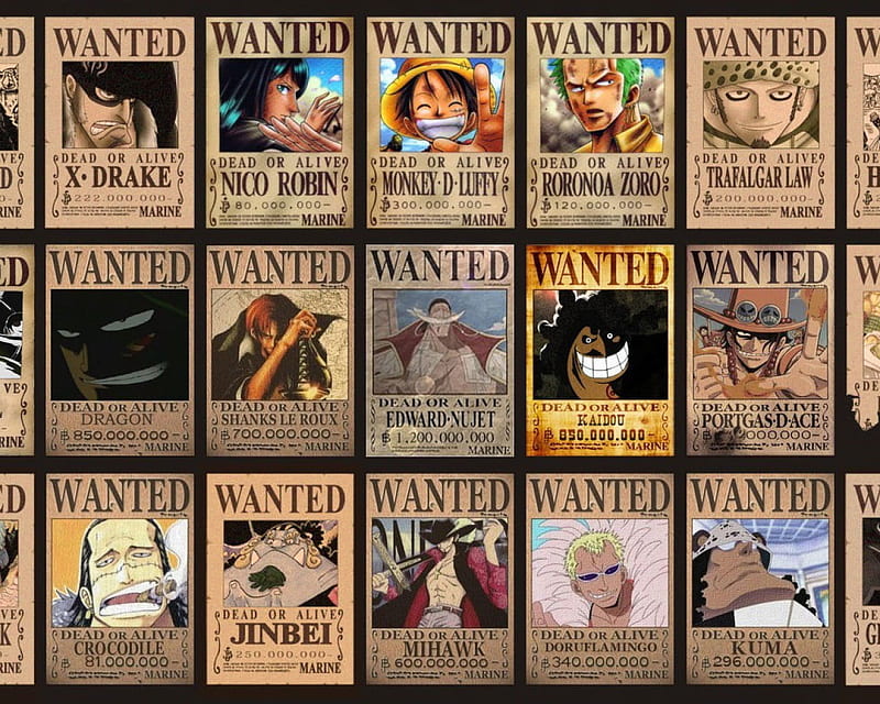 Tokiwa Corporation Anime ONE Piece Official Licensed Wanted Poster: New  World