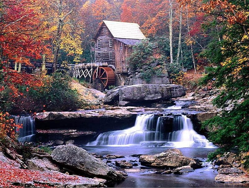 Mill, forest, house, flow, watermills, green, nature, river, falls, HD wallpaper
