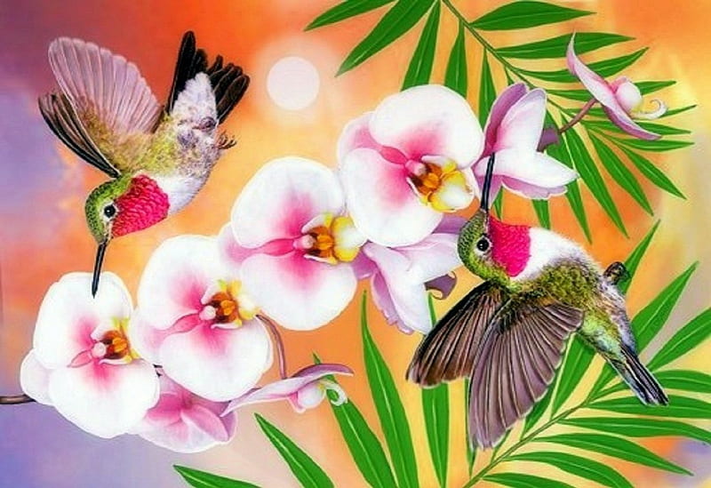 'Annas Hummingbirds & Phaleonopsis', pretty, lovely, hummingbirds, colors, love four seasons, birds, bonito, spring, creative pre-made, paintings, summer, flowers, lovely flowers, animals, HD wallpaper
