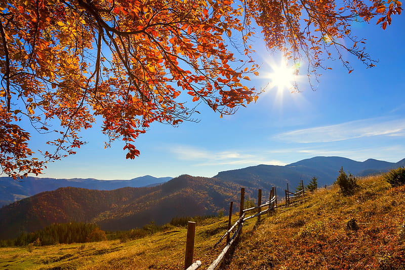Morning autumnal landscape, slope, sky, fence, fall, hills, sun, autumn, bonito, mountain, tree, rays, morning, HD wallpaper