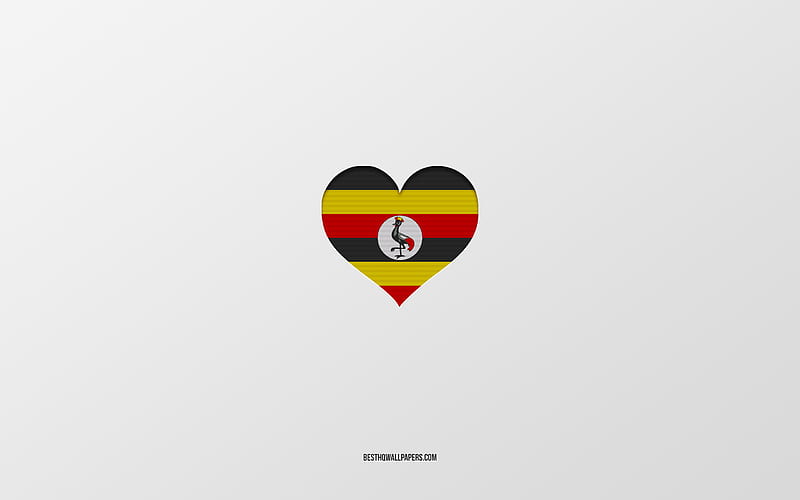 I Love Uganda, Africa countries, Uganda, gray background, Uganda flag heart, favorite country, Love Uganda, HD wallpaper