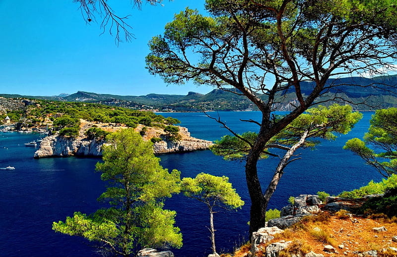 Calanques de Cassis - France, rocks, shore, vacation, view, tourism, travel, France, trees, sky, summer, river, blue, HD wallpaper