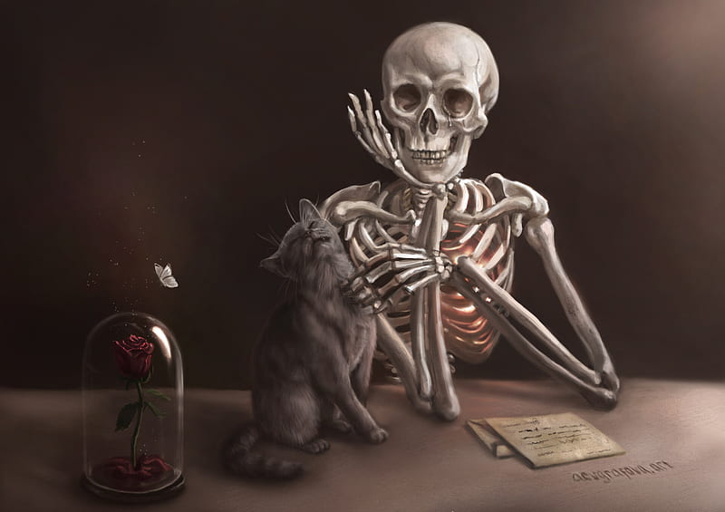 Sensibility, art, fantasy, skeleton, anastasia evgrafova, skull, cat, pisici, bones, halloween, HD wallpaper